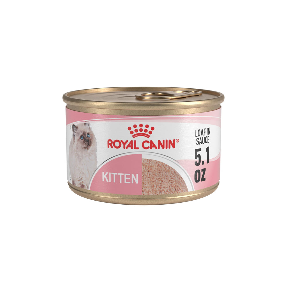 Royal Canin Kitten Loaf in Sauce served in a bowl to entice mealtime.