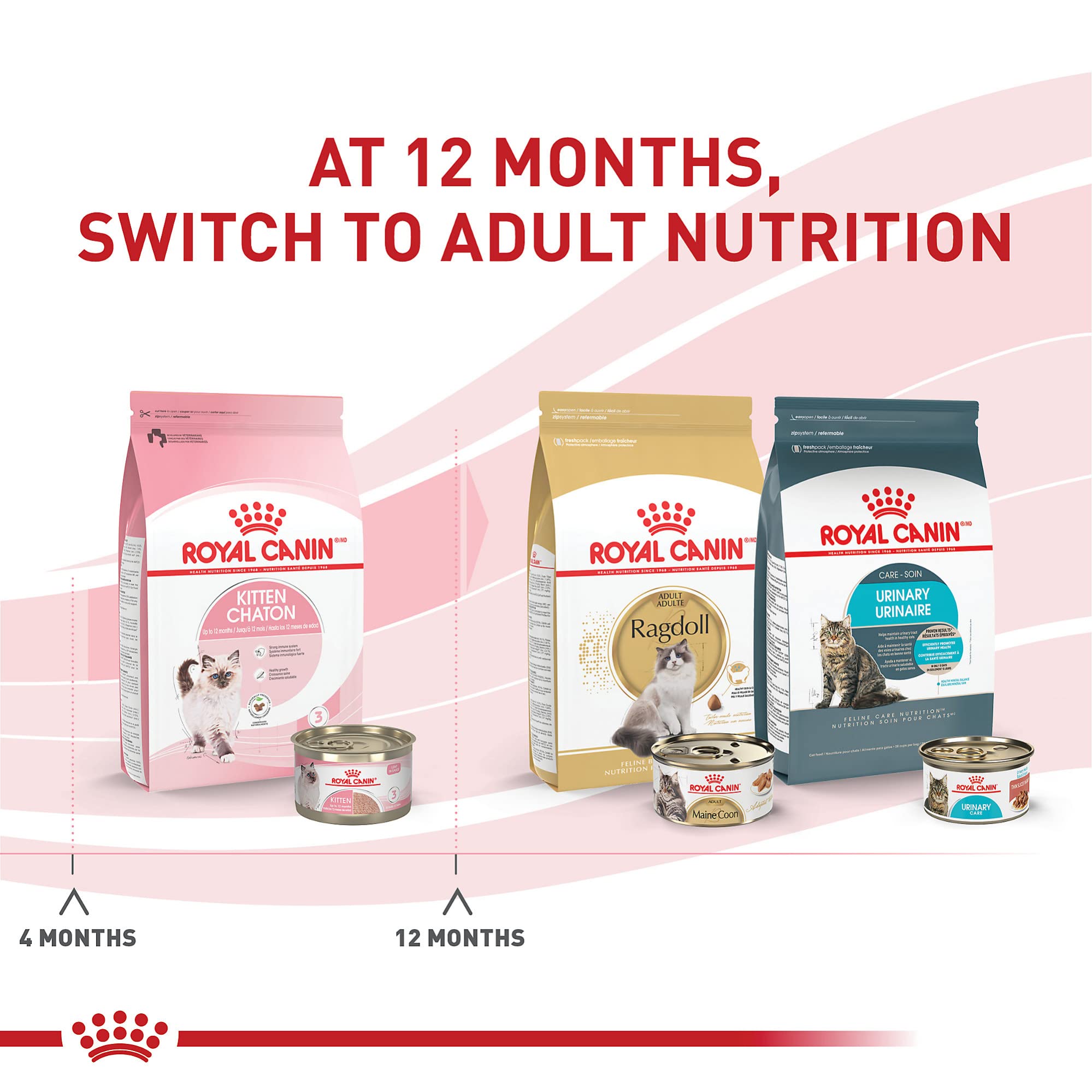 Royal Canin Kitten Loaf in Sauce close-up reveals tender texture preferred by kittens.