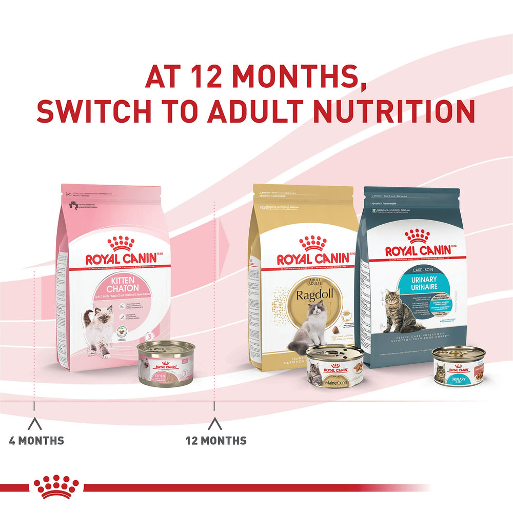 Royal Canin Kitten Loaf in Sauce close-up reveals tender texture preferred by kittens.