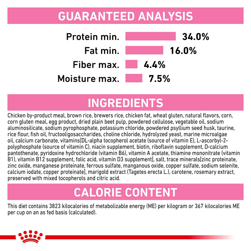Royal Canin kitten mixed-feeding with wet food, adding texture and variety.