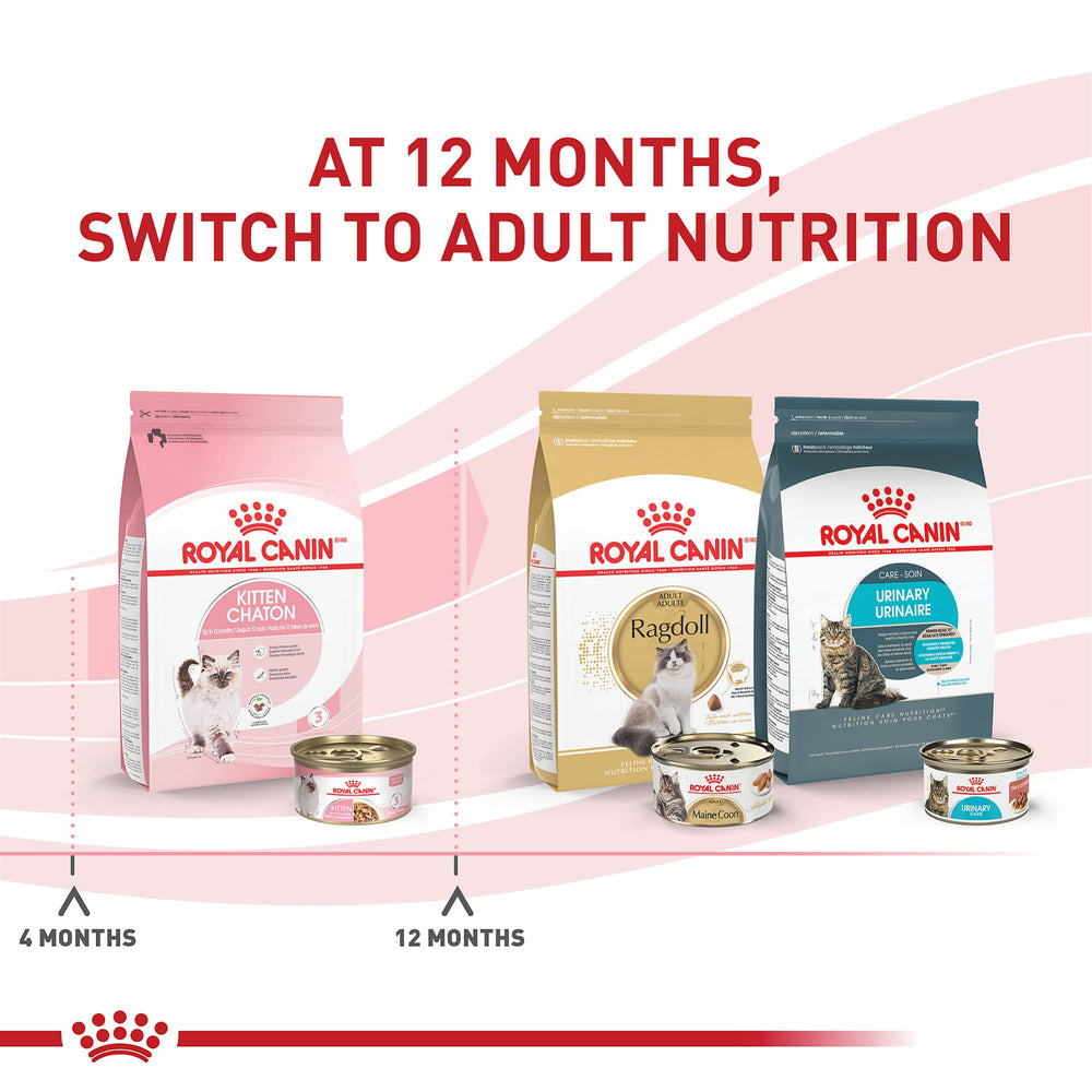 Royal Canin Kitten Serving Size shot demonstrates convenient wet feeding for busy households.