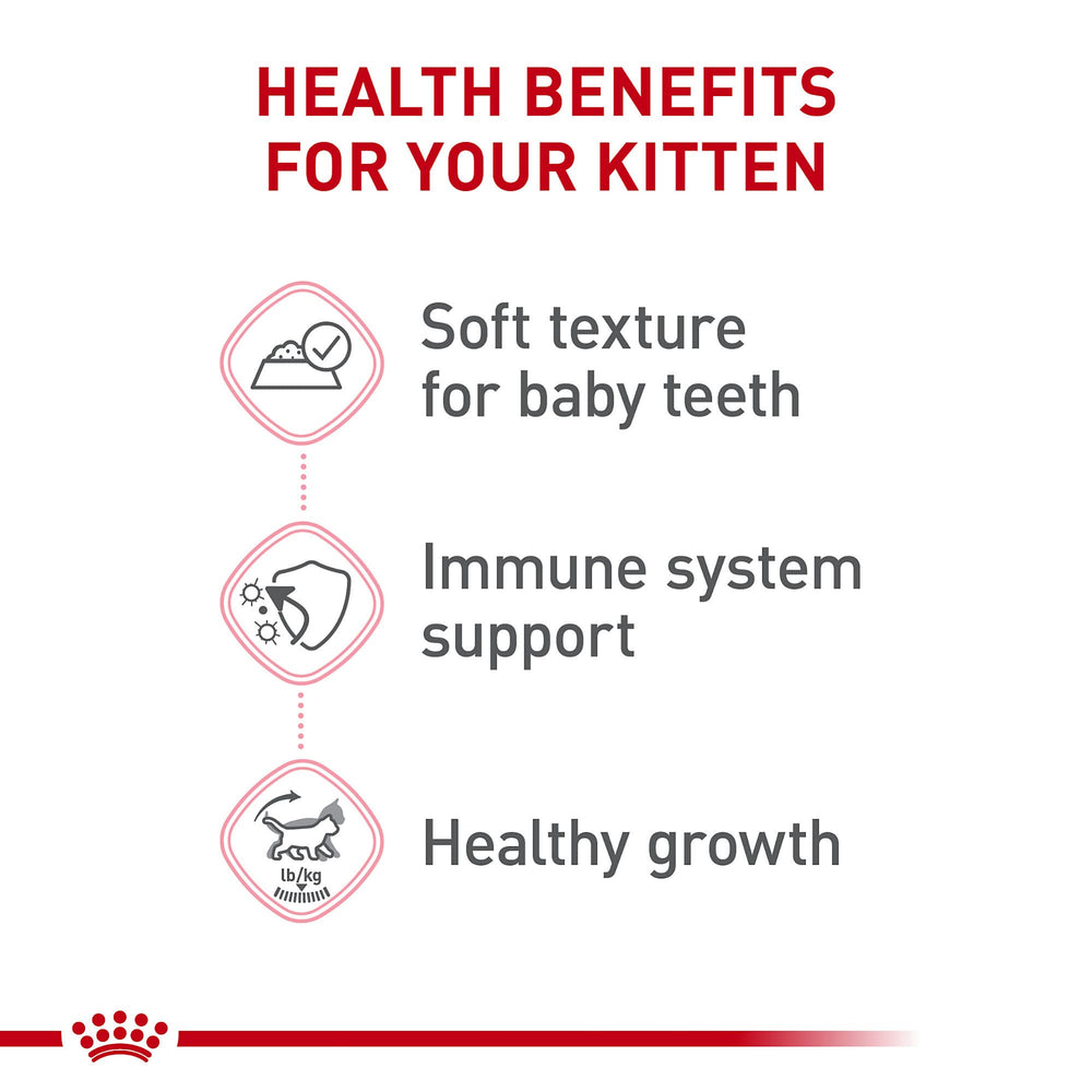 Royal Canin Kitten Thin Slices in Gravy bowl scene ready to serve.