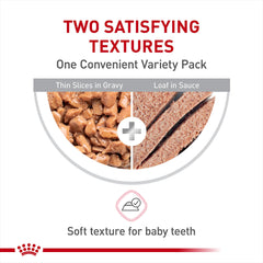 Royal Canin kitten thin slices in gravy presented with gravy for flavor