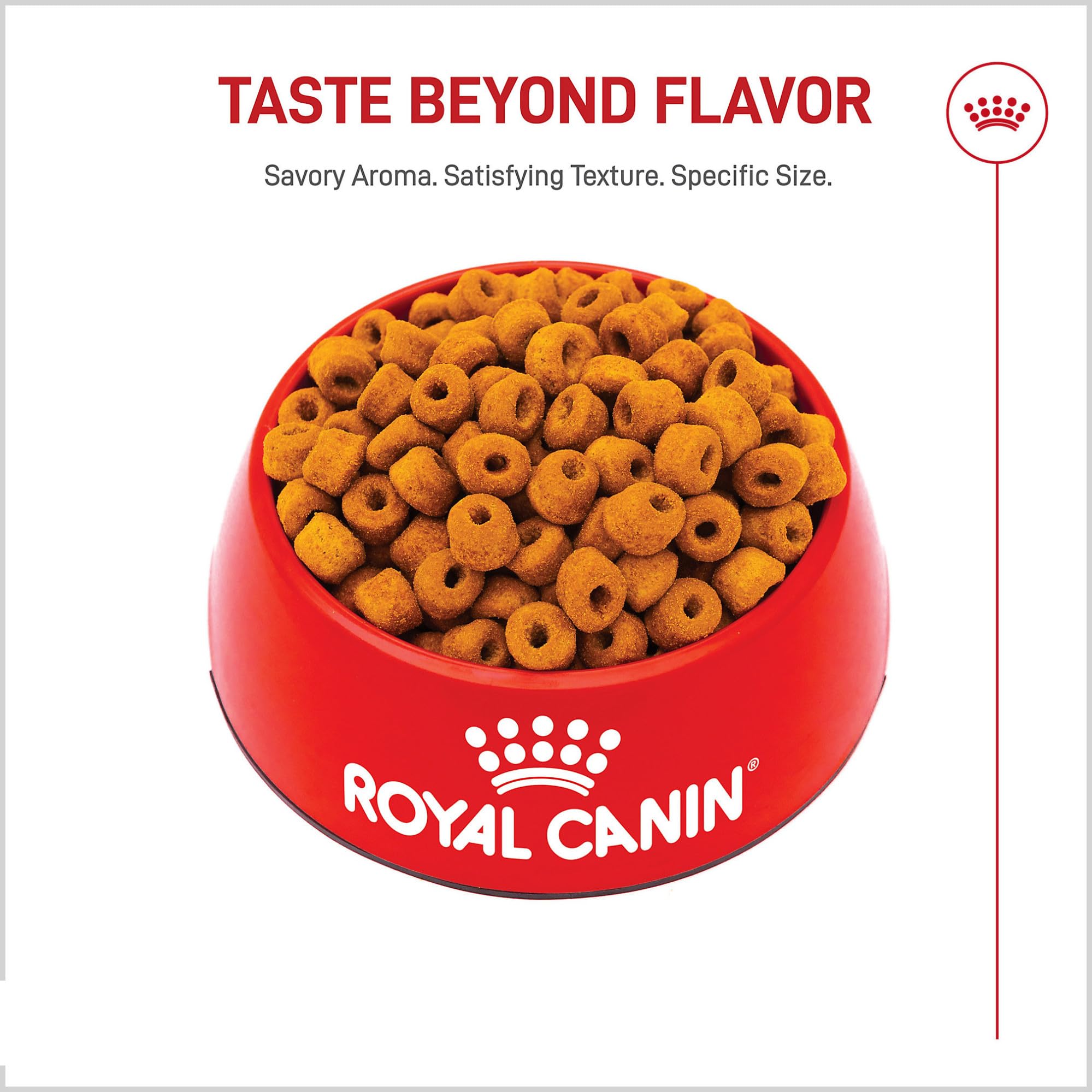 Royal Canin Labrador meal-time visuals show a ready-to-serve dry food.