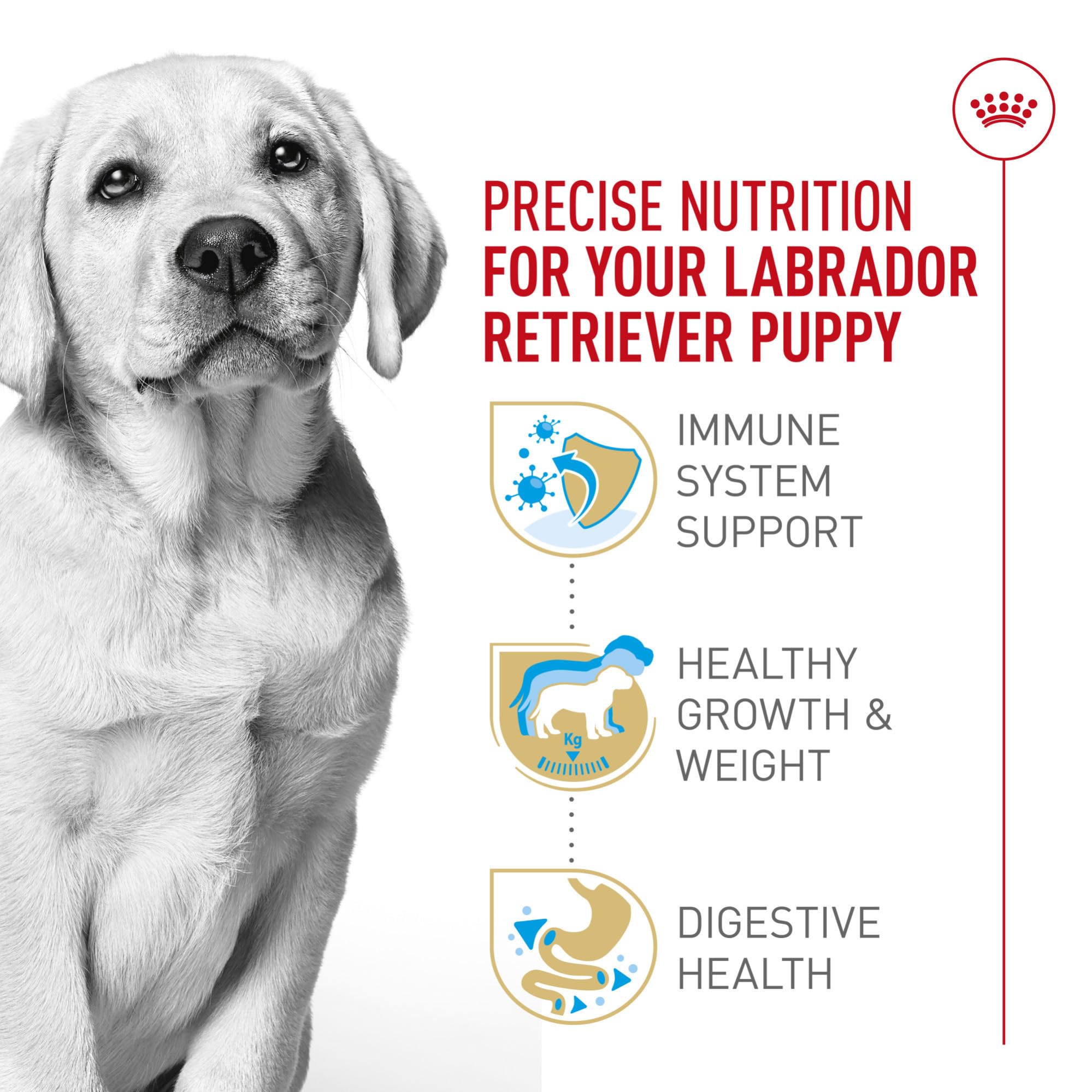 Royal Canin Labrador Puppy antioxidants highlight immune support