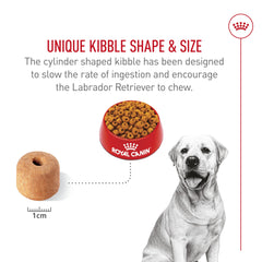 Bone and joint support with EPA DHA and glucosamine in Royal Canin Labrador Retriever food