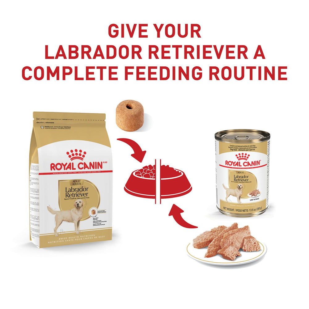 Weight management support for active Labrador Retrievers on this complete diet.