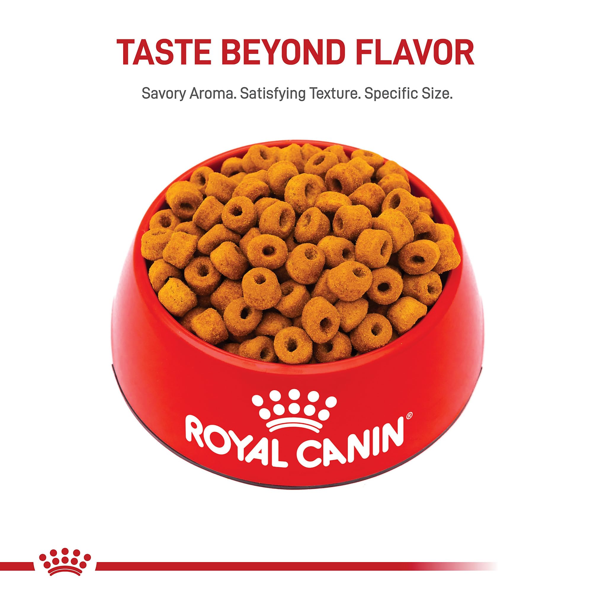 Large-breed energy support in Royal Canin Labrador Retriever nutrition for active labs