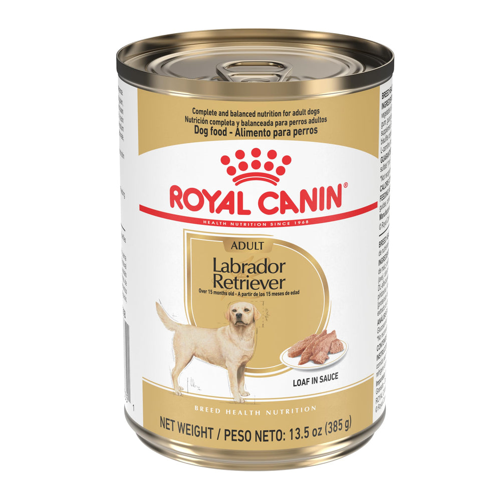 Royal Canin Labrador Retriever loaf in sauce wet food for large breeds, palatable paté texture.