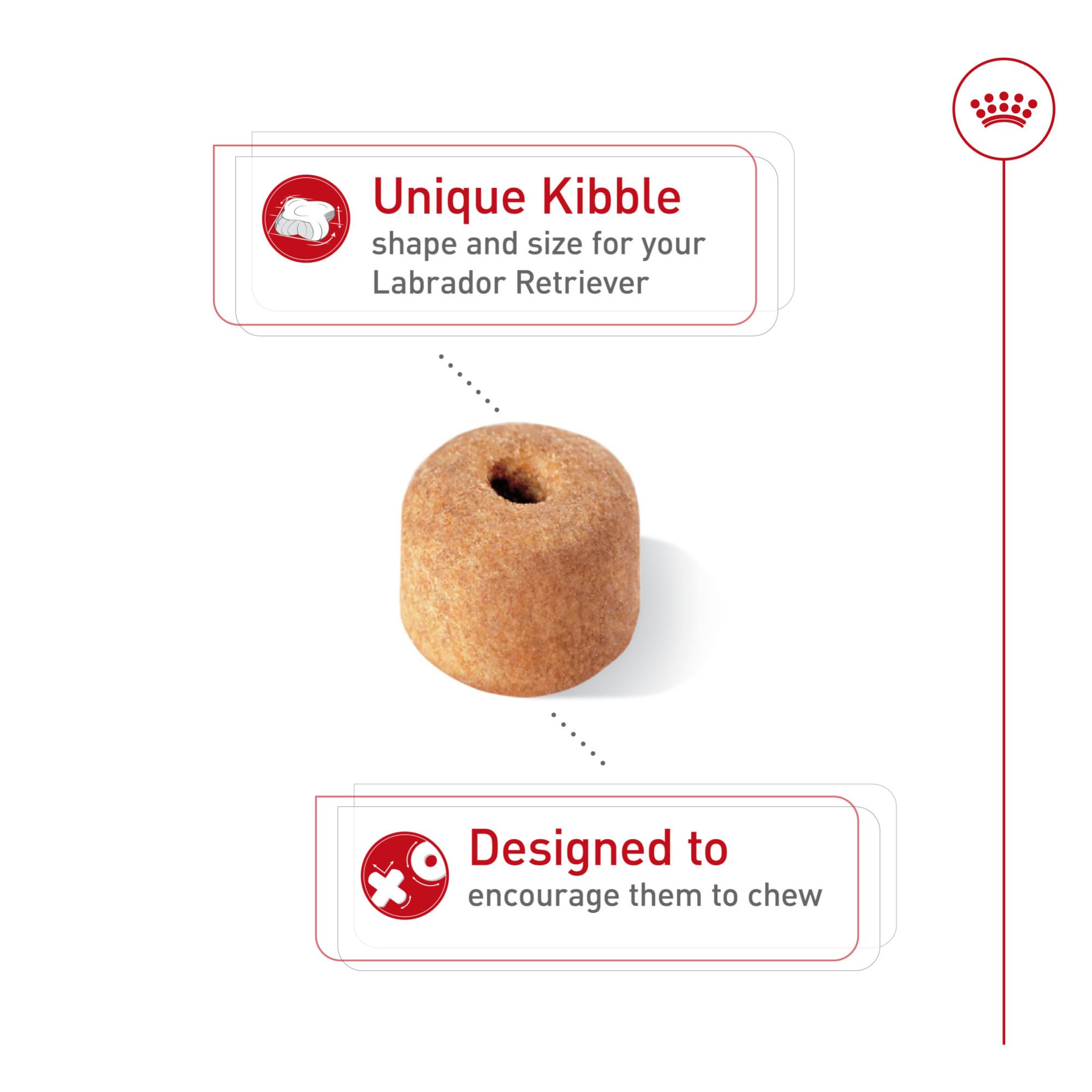 Special kibble design from Royal Canin Labrador Retriever to slow eating and promote chewing