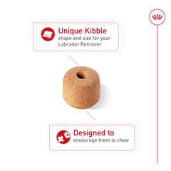 Special kibble design from Royal Canin Labrador Retriever to slow eating and promote chewing