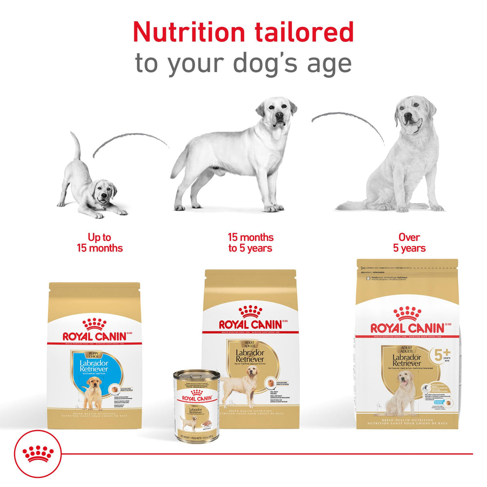 EPA, DHA and glucosamine nourish joints for larger Labradors.