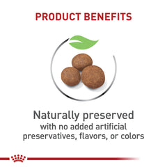 ROYAL CANIN large breed puppy kibble with crunchy texture for mealtime