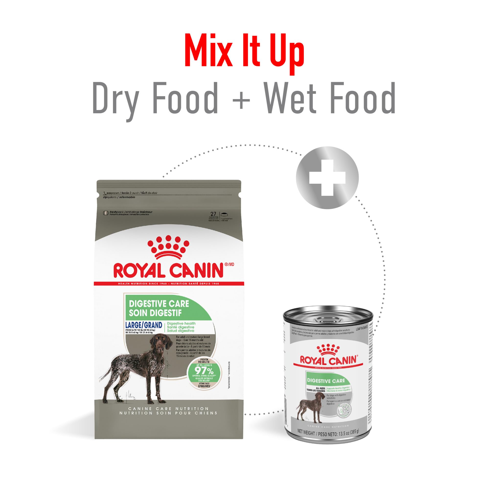 Royal Canin Large Digestive Care dry food served in a bowl for easy feeding.