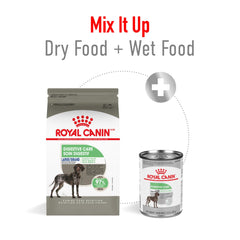 Royal Canin Large Digestive Care dry food served in a bowl for easy feeding.