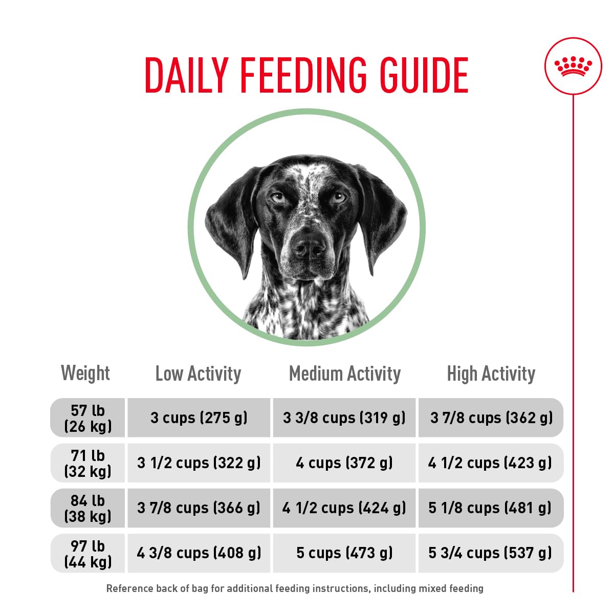 Royal Canin Large Digestive Care feeding area suggests a calm, consistent routine.