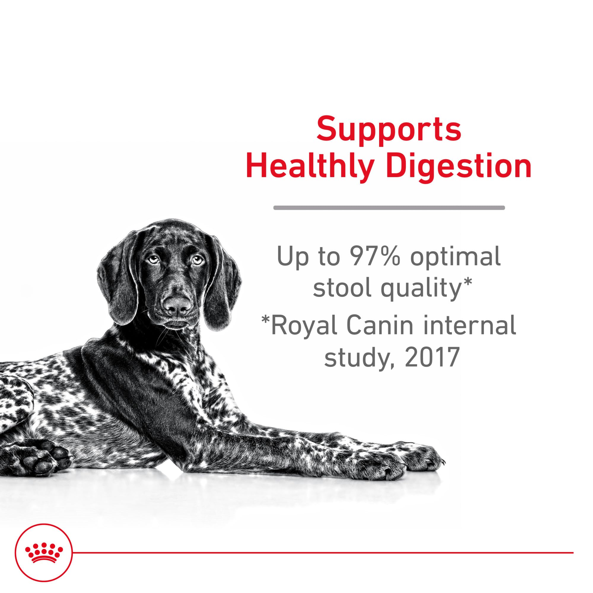 Royal Canin Large Digestive Care kibble close-up highlights highly digestible protein sources.