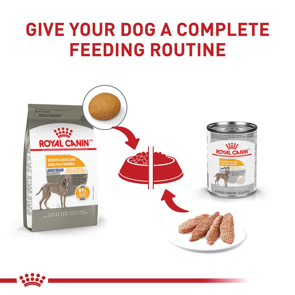 Owner feeding a large dog with Royal Canin formula