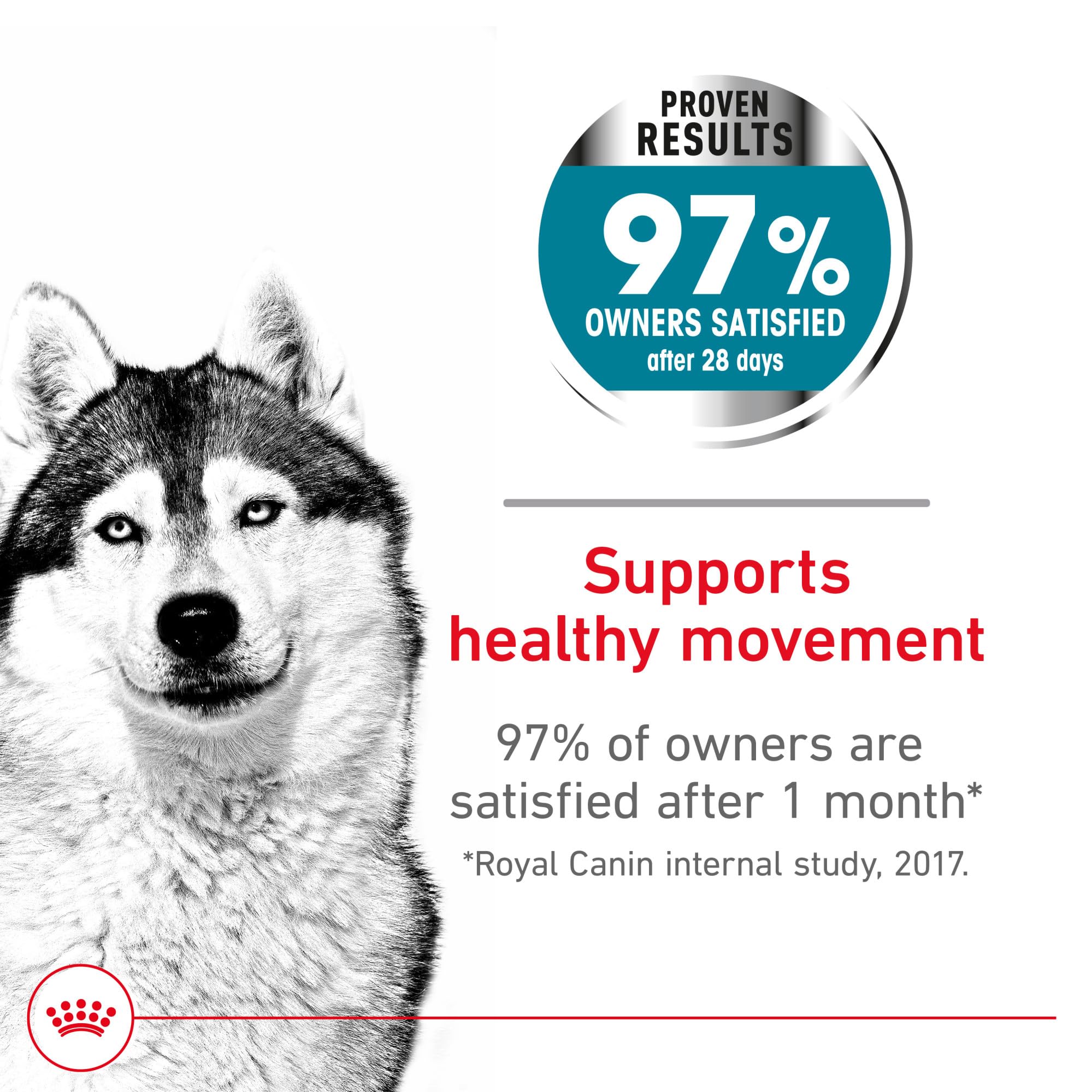 Royal Canin Large Joint Care kibble close-up showing texture and nutrient-rich formula for joints.
