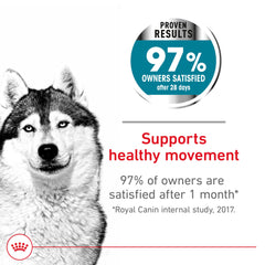 Royal Canin Large Joint Care kibble close-up showing texture and nutrient-rich formula for joints.