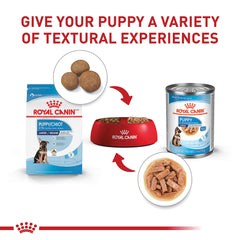 Royal Canin Large Puppy kibble highlighting antioxidants for immune support