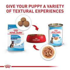 Royal Canin Large Puppy served in bowl as a complete wet meal.