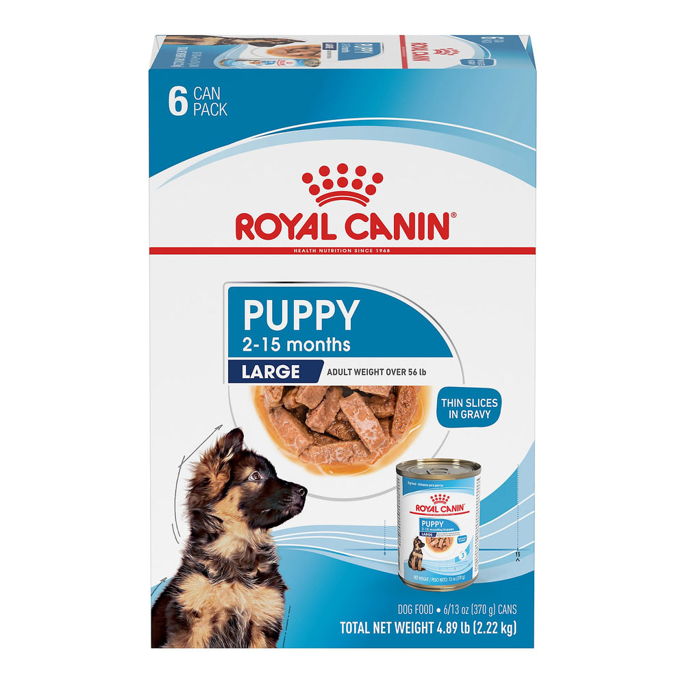 Royal Canin Large Puppy thin-slices in gravy in bowl supports easy eating.