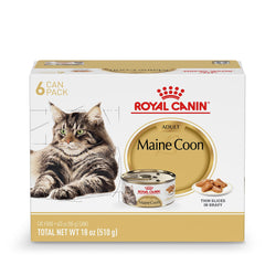 Royal Canin Maine Coon adult wet food in gravy holding a balanced meal