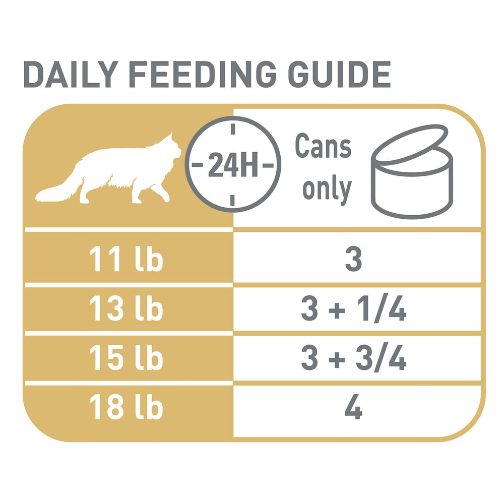 Royal Canin Maine Coon breed-specific nutrition for adult cats