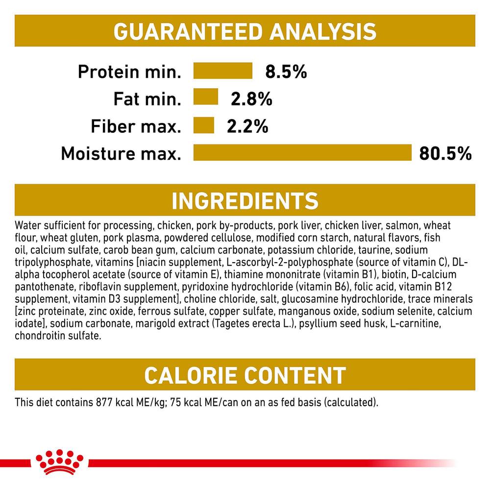 Royal Canin Maine Coon wet food pairs with dry kibble for mixed feeding