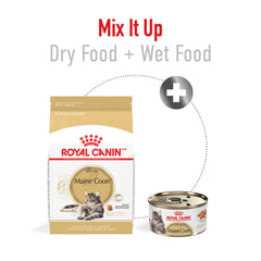 Royal Canin Maine Coon formula with taurine EPA DHA for heart health