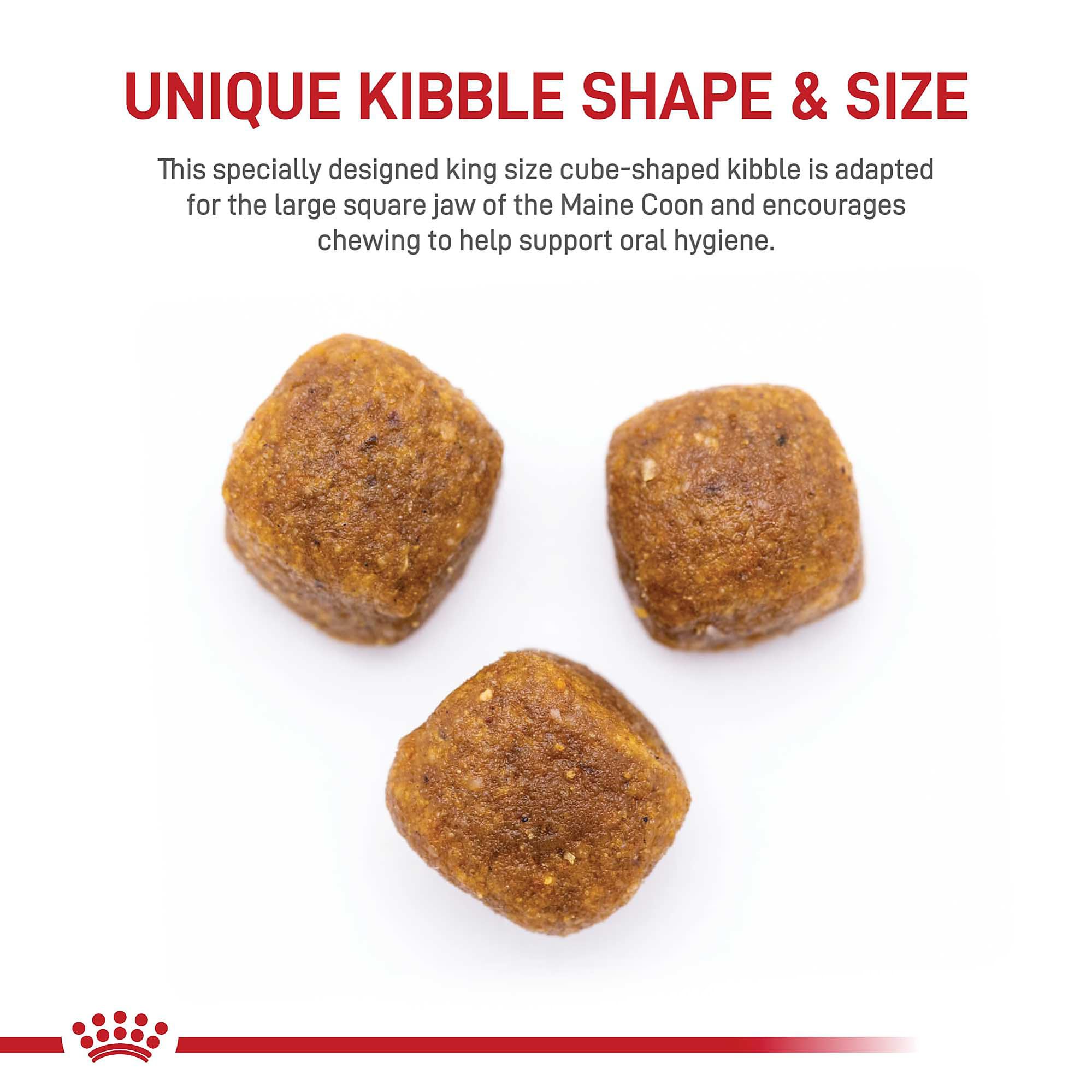 Royal Canin Maine Coon kibble cubes designed for slower chewing