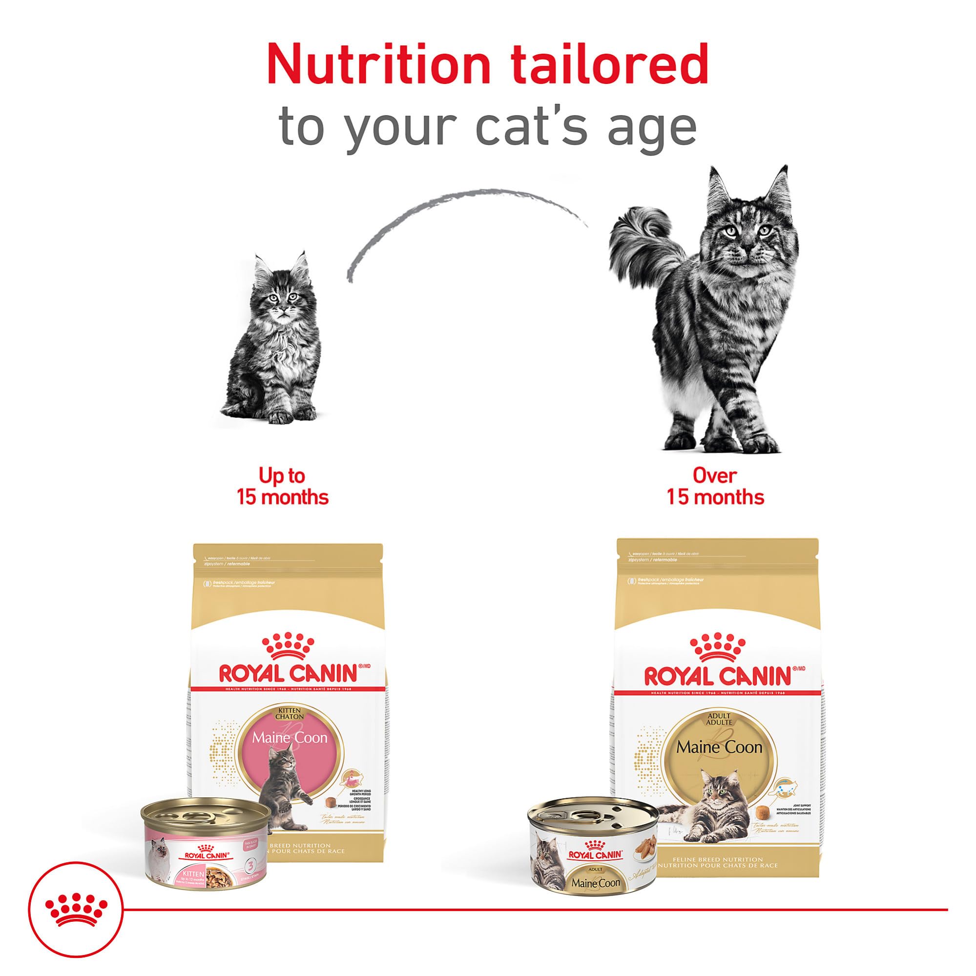 Royal Canin Maine Coon kibble design supports easy grasp and chewing