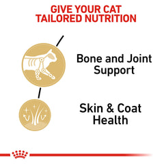Royal Canin Maine Coon formula with EPA and DHA for joints and skin