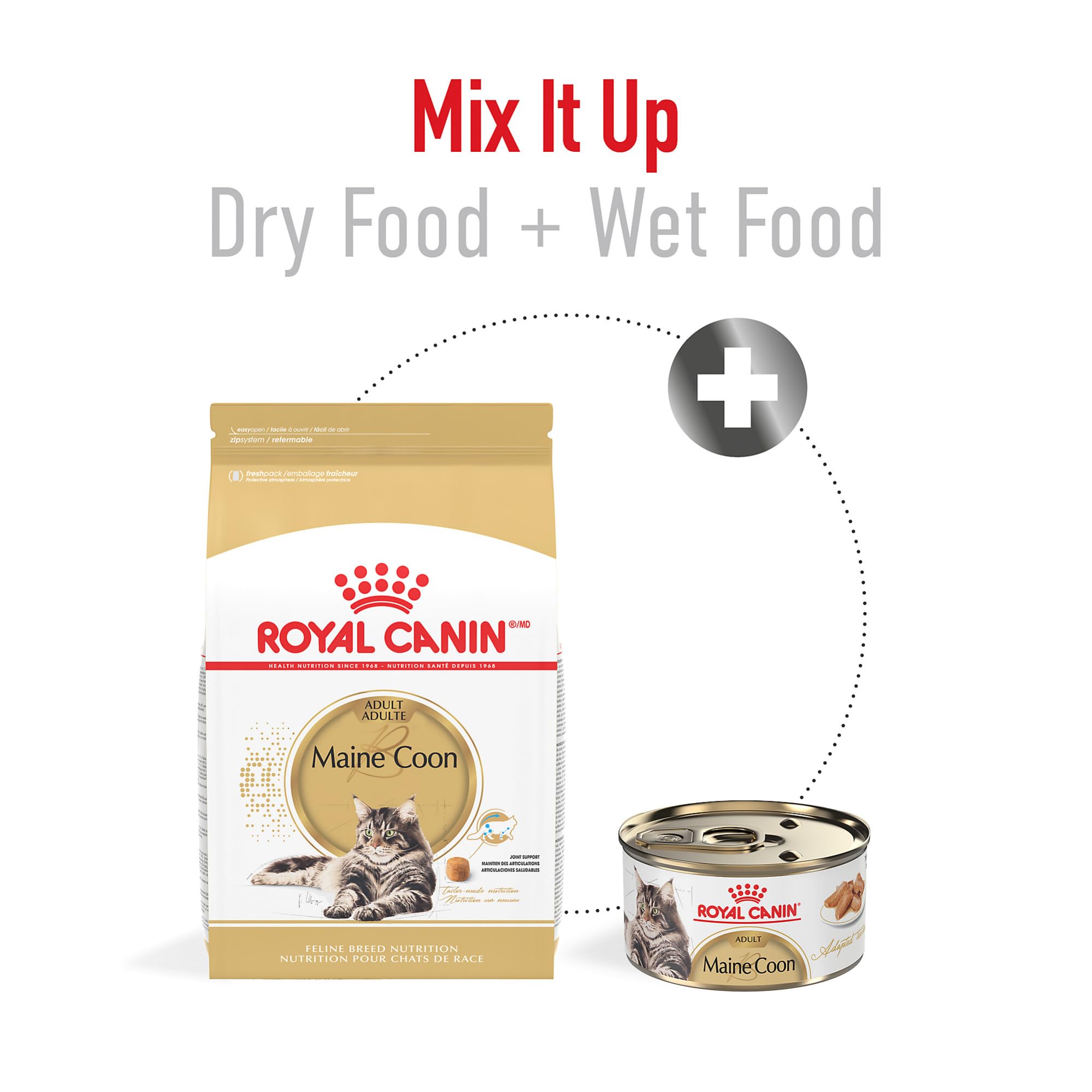 Royal Canin Maine Coon dry food promotes healthy skin and shiny coat