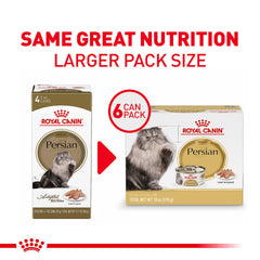 Royal Canin Maine Coon wet food serving in a bowl showing texture