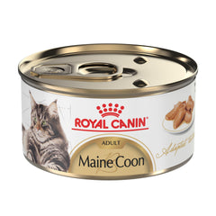 Royal Canin Maine Coon wet gravy slices close-up, appealing texture for picky eaters.