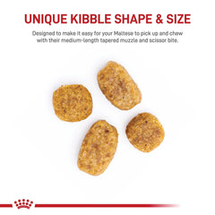 Close-up of kibble tailored for small Maltese muzzles promotes easy picking up