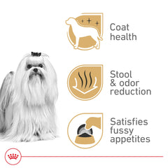 Coat health focus with biotin and omega fats aids silky Maltese fur