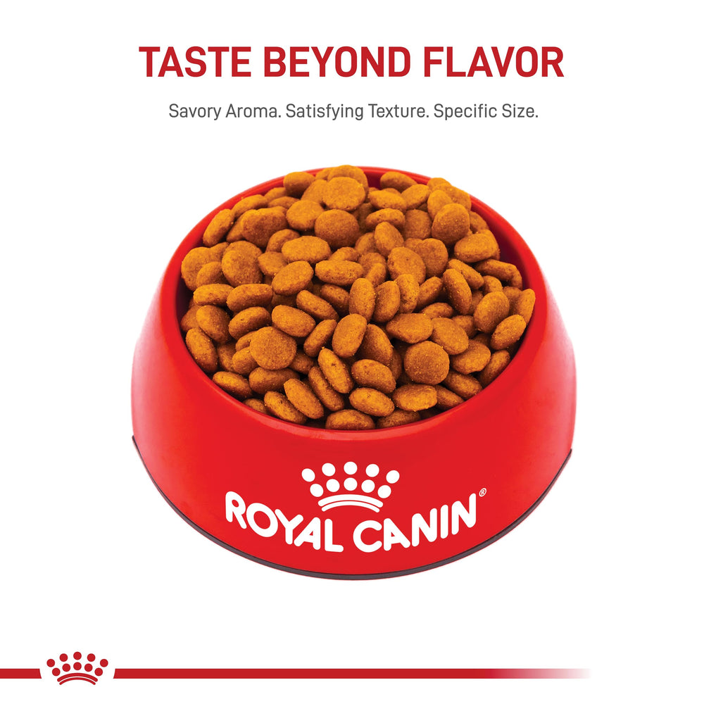 Royal Canin mature adult wet dog food comparison showing variety options