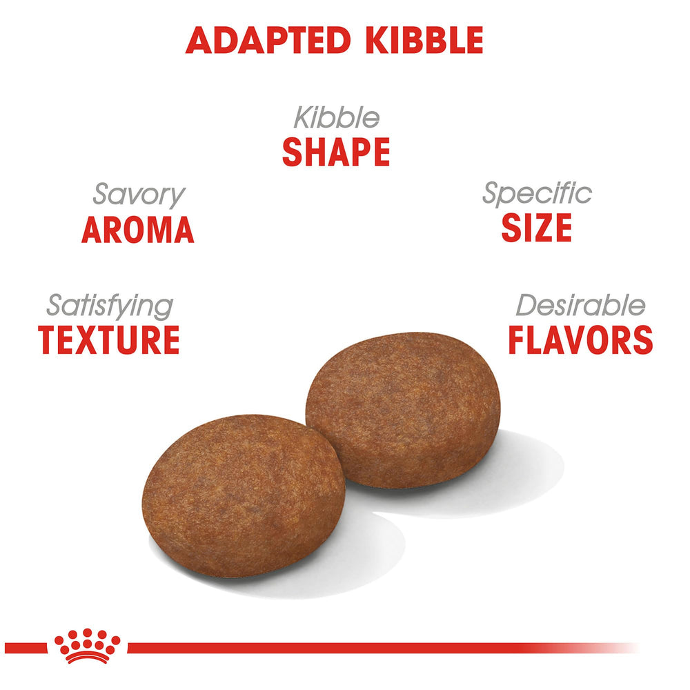 Close-up of Royal Canin Medium Adult 7+ dry kibble design promoting easy chewing
