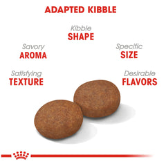 Close-up of Royal Canin Medium Adult 7+ dry kibble design promoting easy chewing