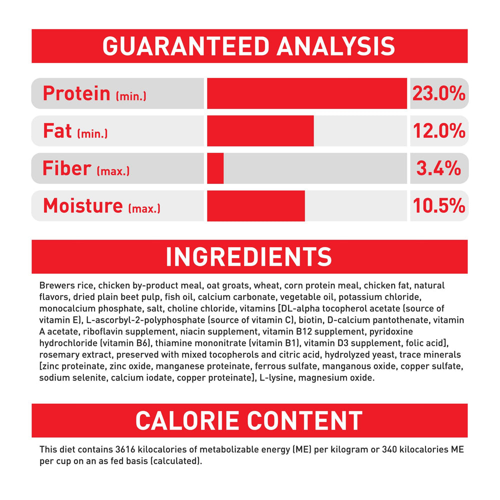 Royal Canin serving suggestion for medium adult dry dog food