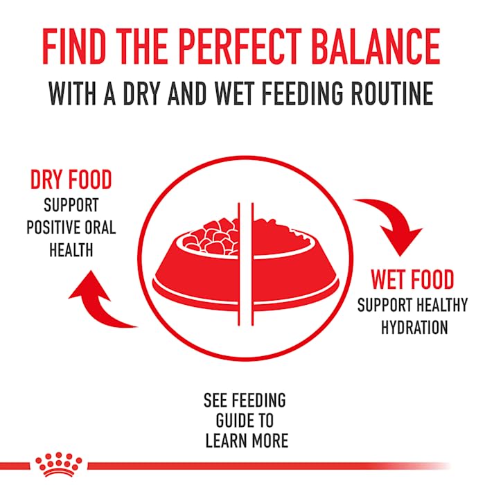 Royal Canin Medium Aging 10+ antioxidants and vitamins for immune support.
