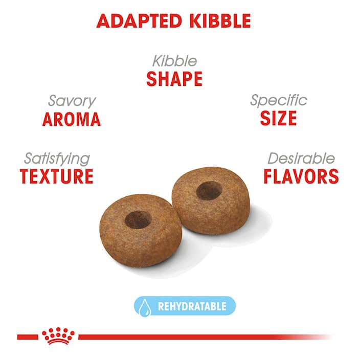 Royal Canin Medium Aging 10+ dog bowl serving a meal.