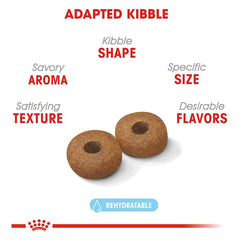 Royal Canin Medium Aging 10+ dog bowl serving a meal.