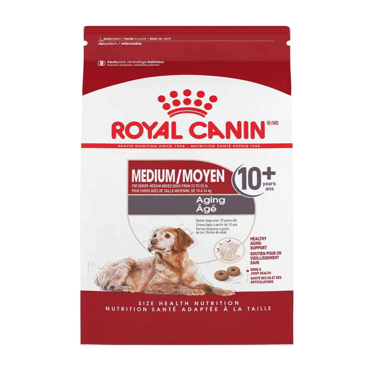 Royal Canin Medium Aging 10+ dry dog food bag for senior nutrition.