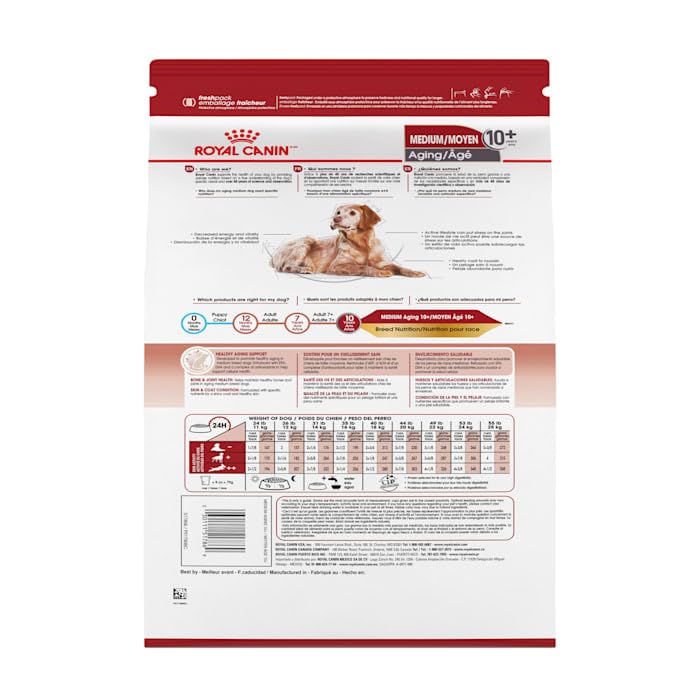 Royal Canin Medium Aging 10+ kibble pour into a bowl for senior digestion.