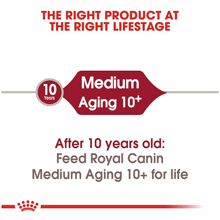 Royal Canin Medium Aging 10+ protein helps maintain muscle mass.