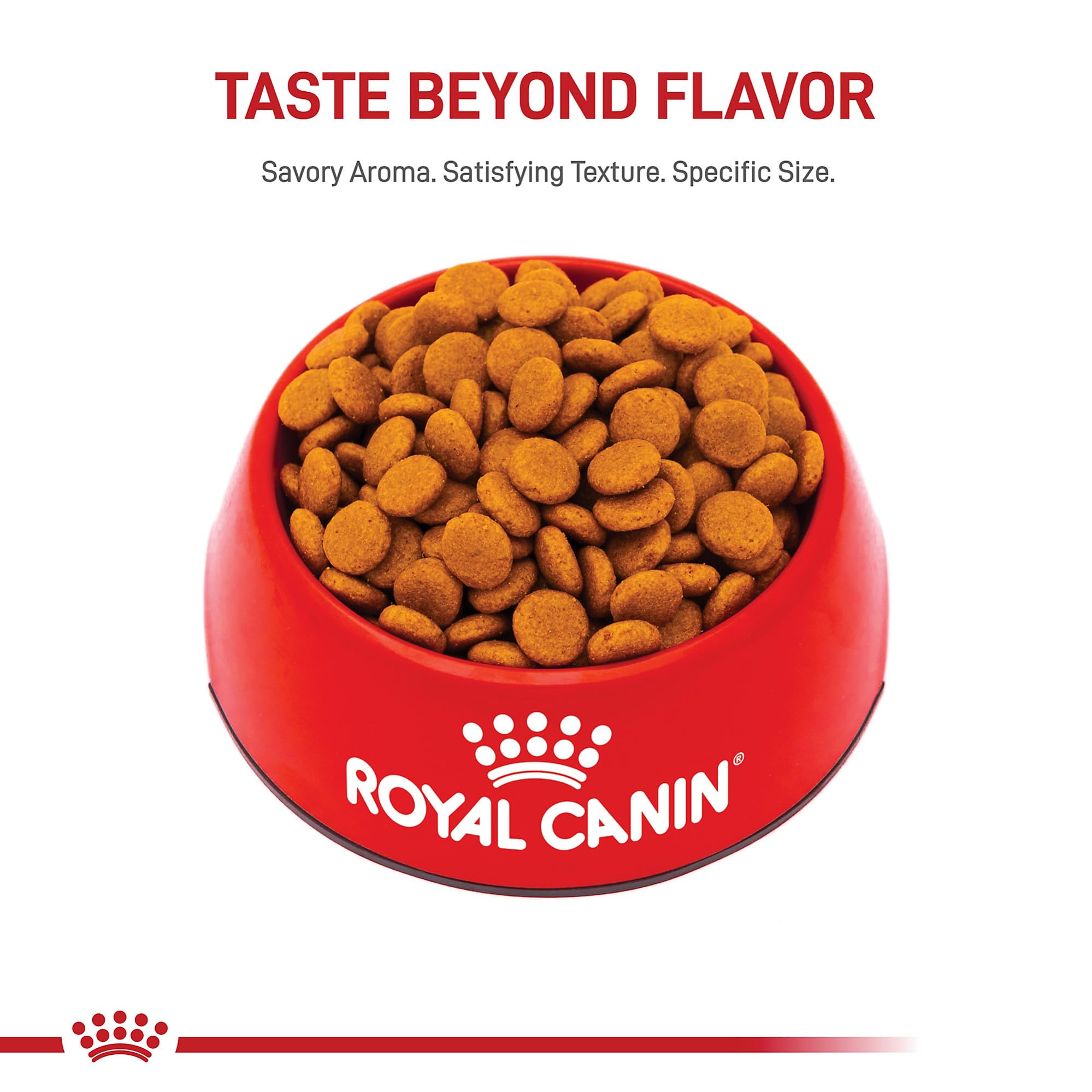 Royal Canin Medium Digestive Care bag closeup highlights nutrition for digestion.